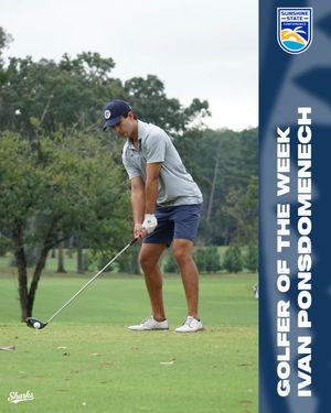 Image post by @nsu_mgolf on Instagram
