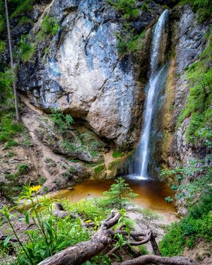 Image post by @cristan.nature.photography on Instagram