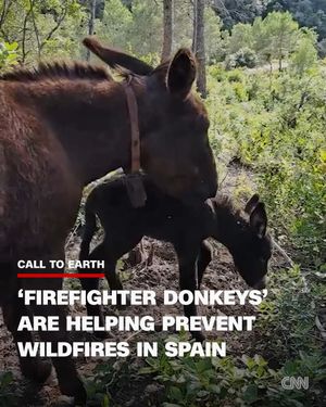 Image post by @cnnclimate on Instagram
