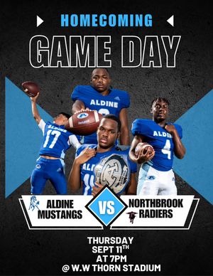 Image post by @aldinemustangfb on Instagram