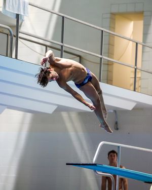 Image post by @gatorsswimdv on Instagram