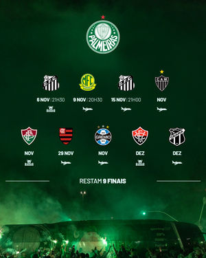 Image post by @palmeiras on Instagram