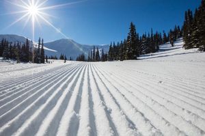 Image post by @whistlerblackcomb on Instagram
