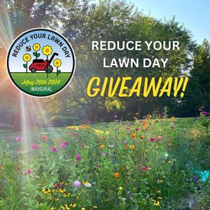 Image post by @kidsgardening on Instagram