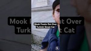 Video post by @thewontondon on YouTube