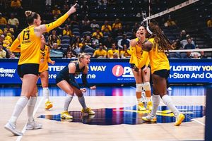 Image post by @ncaavolleyball on Instagram