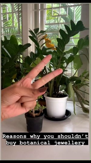 Video post by @leafyaffair on Instagram