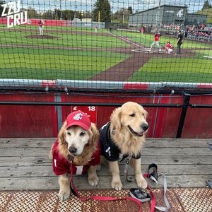 Image post by @zzucru on Instagram