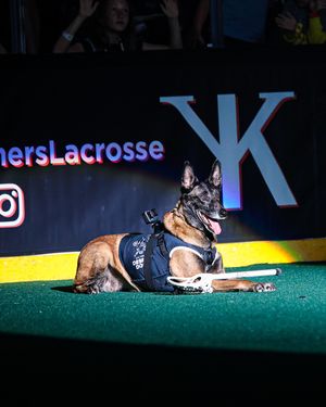 Image post by @vegasdesertdogs on Instagram