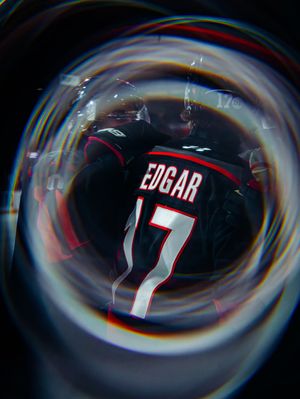 Image post by @ohlicedogs on Instagram