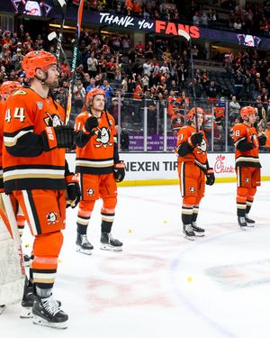 Image post by @anaheimducks on Instagram
