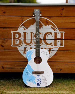 Image post by @BuschBeer on Twitter/X