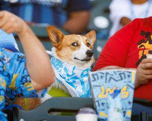 Image post by @eplocomotivefc on Instagram