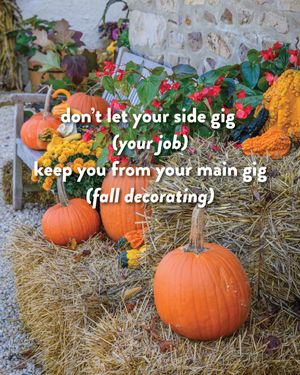 Image post by @burpeegardening on Instagram