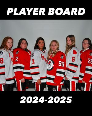 Image post by @ugawhockey on Instagram