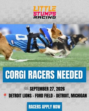 Image post by @littlestumpsracing1 on Facebook