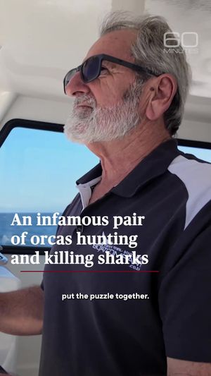 Video post by @60minutes on TikTok