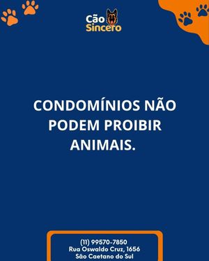Image post by @adestradores.caosincero on Instagram