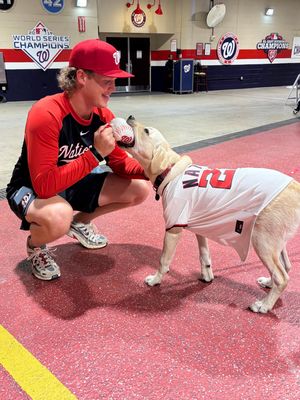 Image post by @canineorg on Instagram