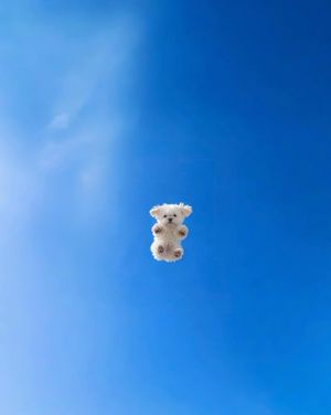 Image post by @fubiz on Instagram