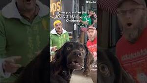 Video post by @ups on YouTube