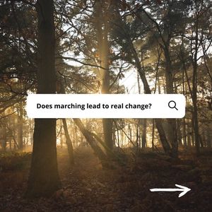 Image post by @rspb on Instagram