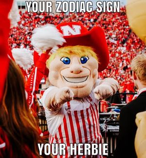 Image post by @huskerchicks on Instagram