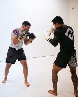 Image post by @ufcfightpass on Instagram