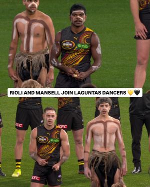 Image post by @afl on Instagram
