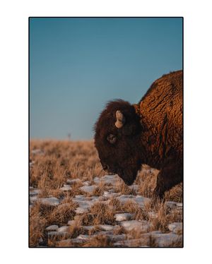 Image post by @shotbycox on Instagram