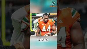 Video post by @dolphinstalk on YouTube