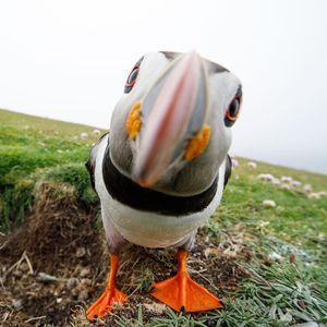 Image post by @visitscotland on Instagram