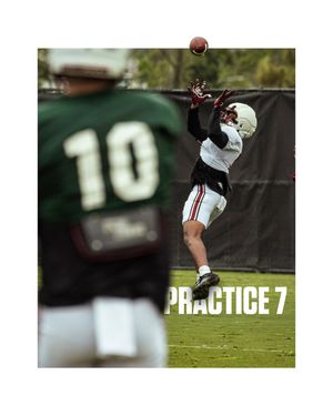 Image post by @gamecockfb on Instagram