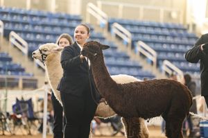 Image post by @pafarmshow on Instagram