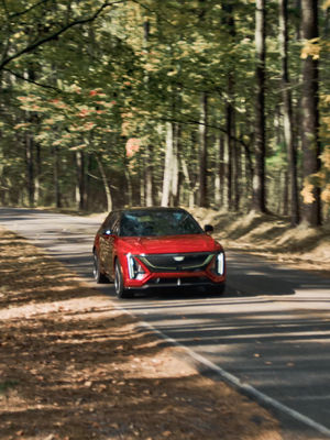 Video post by @cadillac on TikTok