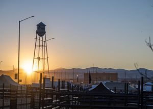 Image post by @nationalwestern on Instagram