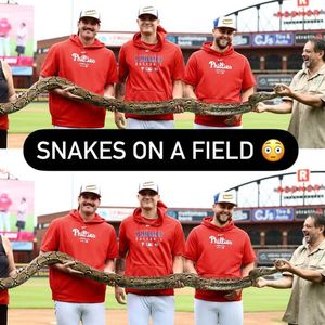 Image post by @milb on Instagram
