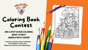 Video post by @livelikeroofoundation on TikTok