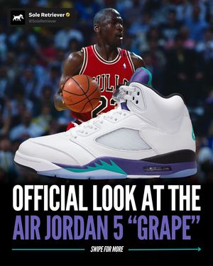 Image post by @soleretriever on Instagram