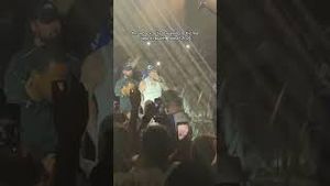 Video post by @beachpleasefestival on YouTube