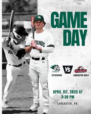 Image post by @stevensonbsb on Instagram