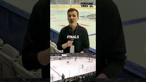 Video post by @flohockey on YouTube