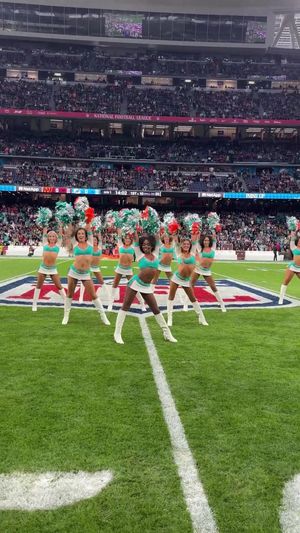 Video post by @dolphinscheer on TikTok