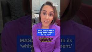 Video post by @msnbc on YouTube