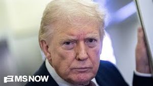 Video post by @msnbc on YouTube