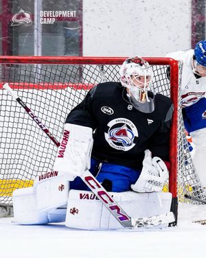 Image post by @Avalanche on Twitter