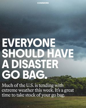 Image post by @commonsearth on Instagram