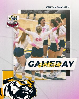 Image post by @goetbutigers on Instagram
