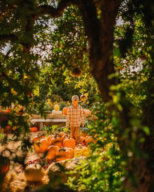 Image post by @sovanna.photo on Instagram