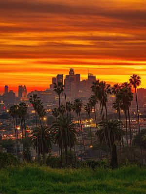 Image post by @losangeles_vibes on Instagram